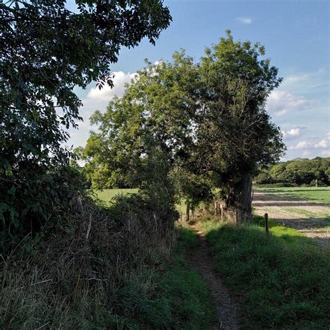 Looking Down The Path From Roughknowles A J Paxton Cc By Sa