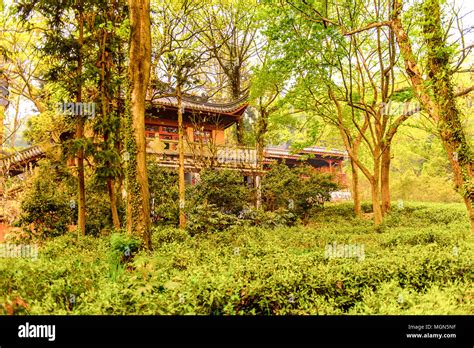 Lingyin Temple Temple Of The Souls Retreat Complex One Of The