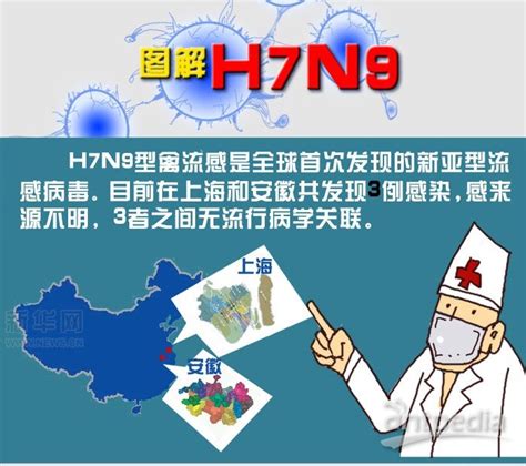 H7n9禽流感报道报道河南都市报道大山谷图库