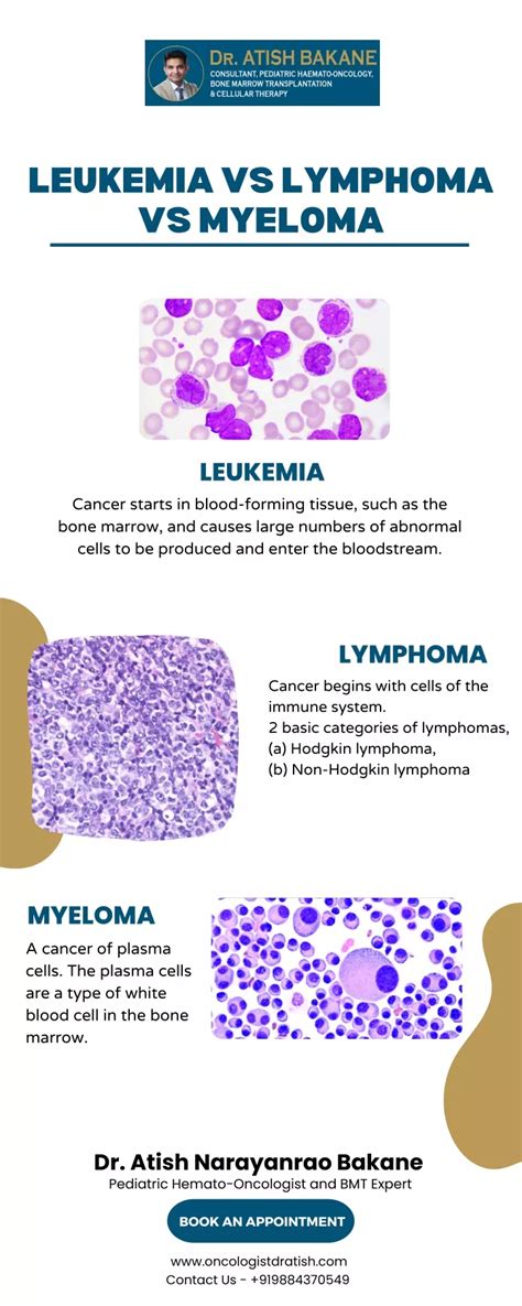 PPT - Leukemia vs Lymphoma vs Myeloma PowerPoint Presentation, free ...