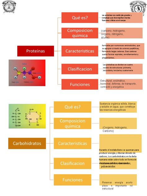 Cuadro Comparativo Biomoleculas Pdf Carbohidratos Proteínas