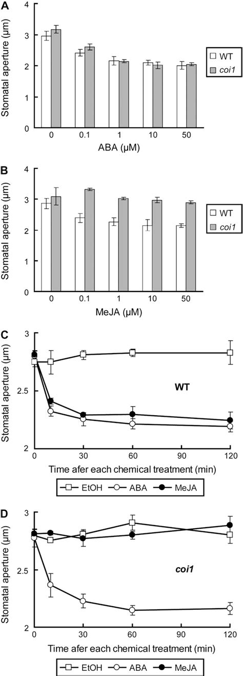 Figure 1 From The Coronatine Insensitive 1 Mutation Reveals The