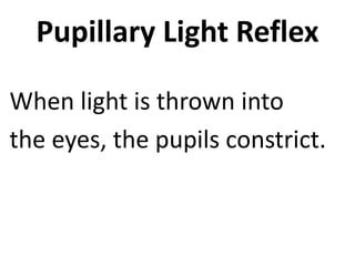 Light reflex | PPT