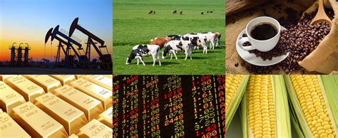 Why Should You Consider Trading Commodity Futures Options Insignia