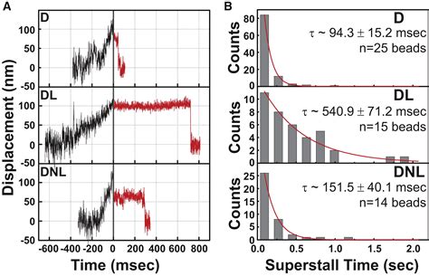 LIS1 And NudE Induce A Persistent Dynein Force Producing State Cell