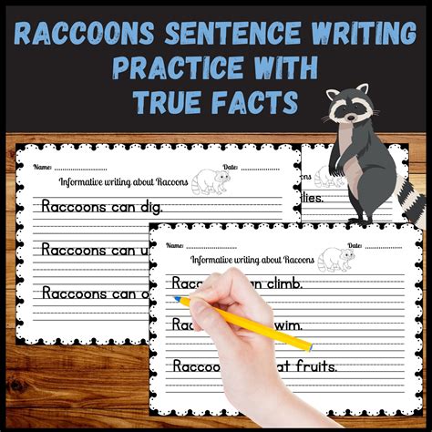 Raccoons Informative Sentence Writing Practice Worksheets With True