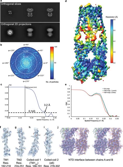 Cryo EM Structure Determination And Density Of CeMCU A Orthogonal