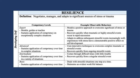 Developing Self Airmans Foundational Competencies