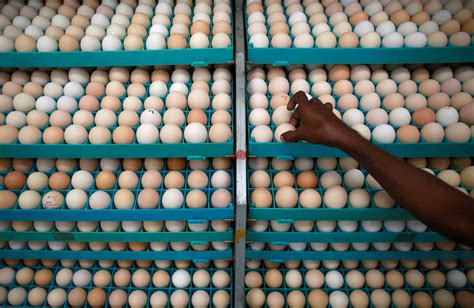 Egg Prices Touch Record High Heres What Causing The Surge Zee Business