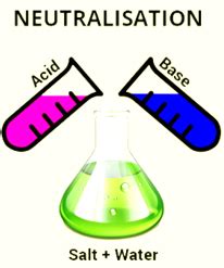 Answer the following questions. What is meant by neutralization? Give two examples from everyday ...