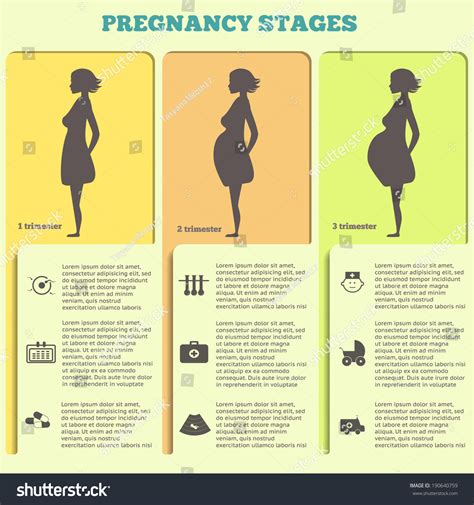 Pregnancy Birth Infographics Pregnancy Stages Icon Stock Vector