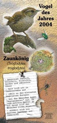 Zaunk Nig Vogel Des Jahres Natur Des Jahres Lehrtafeln