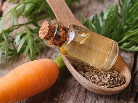 Carrot Oil For Skin Anti Aging Moisturizing And More