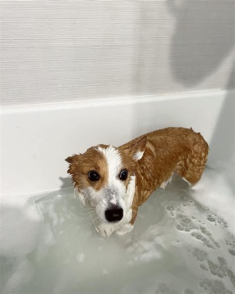 Mia Sayoko | lil photo dumpy, scroll to last pic for big dumpy 💩