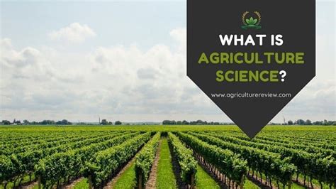 What Is Agriculture Science? Read or Miss About Agriculture Science