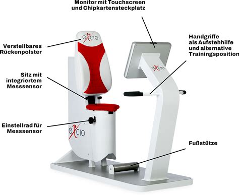 Beckenbodentraining T Alheim Therapie Training