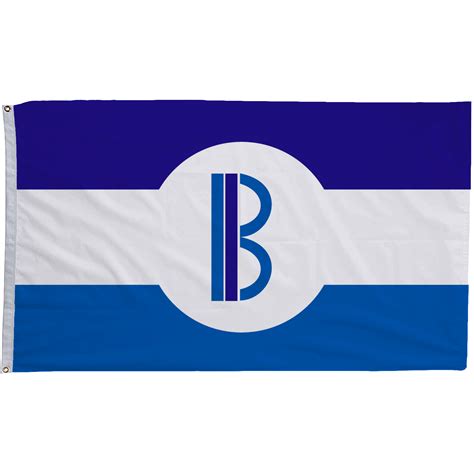 house for sale in bensenville il 5