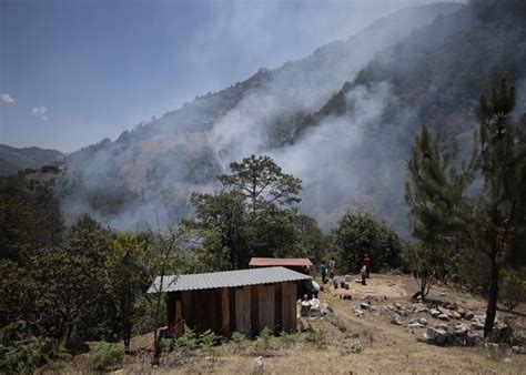 Incendio forestal más devastador del año ocurrió en Zacatlán El