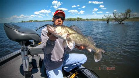 Shallow Water Walleye Fishing In Spring Anglingbuzz