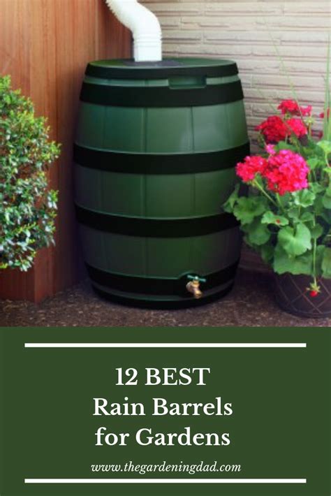 12 Best Rain Barrels For All Gardeners 2023 Rain Barrel Rain Water