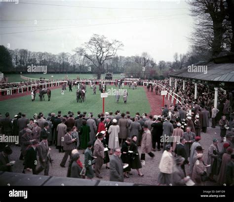 Horse Racing - Kempton Park Races - Kempton Park Racecourse. The parade ...