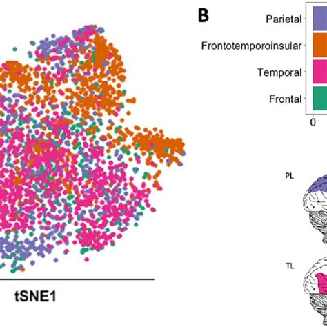 T Sne Plot Of Metabolic Gene Expression Profiles And Corresponding Download Scientific Diagram