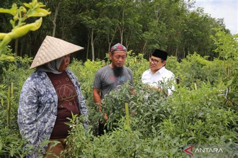 Wakil Ketua Dpr Pupuk Bersubsidi Harus Diperbanyak Atasi Kelangkaan