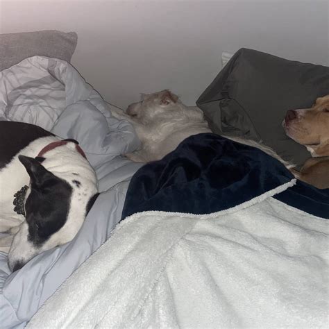 Post from Truthfully Trisha