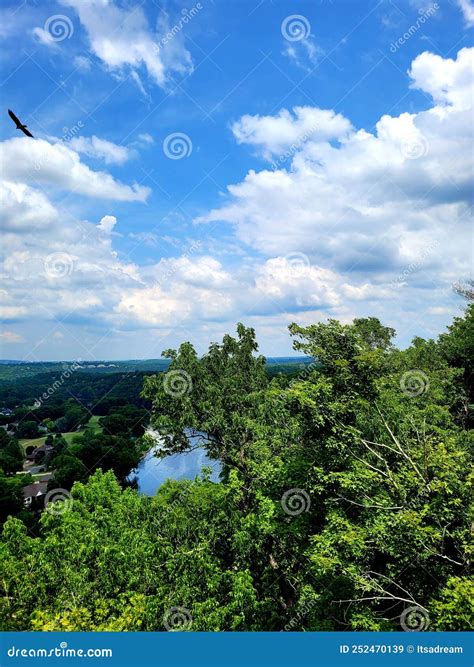 Scenic overlook at Branson stock image. Image of forest - 252470139