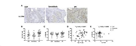 Il 17ra Expression In Ild Lungs A Representative Download