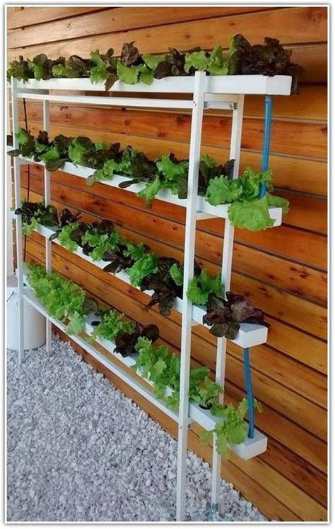 Diy Indoor Hydroponic Vegetable Garden Carmela Cline