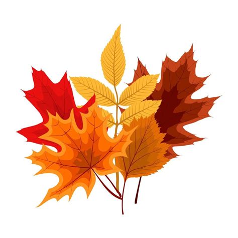 Fall Leaves Icon