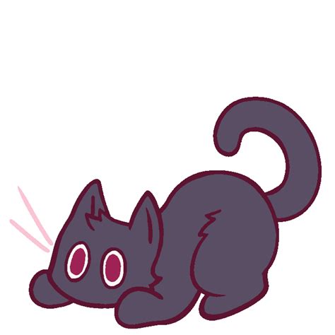 Animated Black Cat S