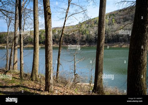 Tionesta Lake and Dam Stock Photo - Alamy