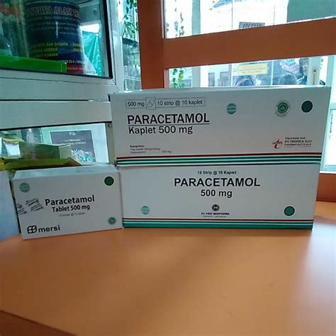 Jual PARACETAMOL 500MG Strip Isi 10 Tablet Shopee Indonesia