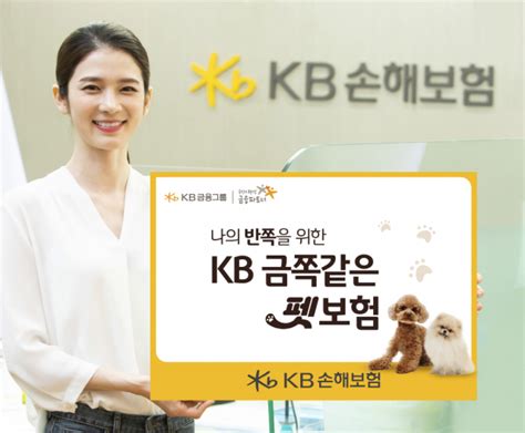 Kb손보 Kb 금쪽같은 펫보험 출시 서울경제