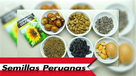 🇵🇪semillas De Peru🌱 Youtube