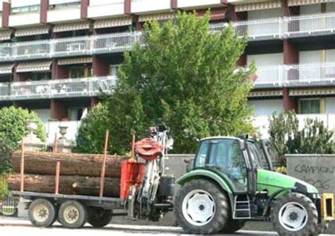 Tromba D Aria A Luino Altri Alberi Abbattuti Varesenews Foto