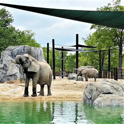 KC Zoo Elephant Exhibit - SK Design