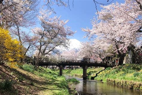 Excurs O Privada De Um Dia Ao Monte Fuji Motorista Que Fala