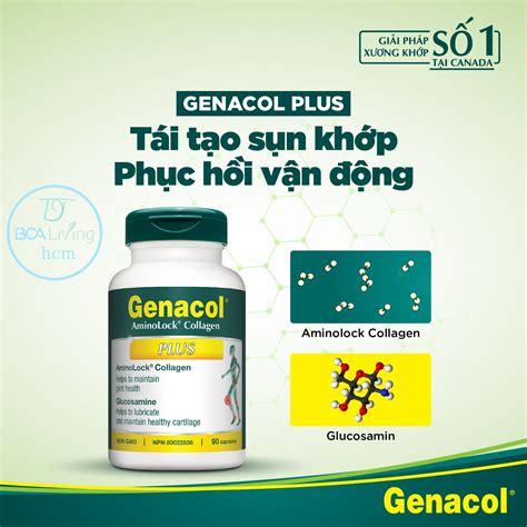 Thực phẩm bảo vệ sức khỏe Genacol Plus HAMY Savipharm