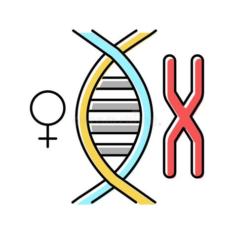 Female Chromosome Genetic Color Icon Vector Illustration Stock Vector