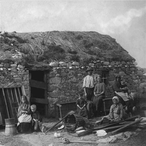 midden heap demoiselles