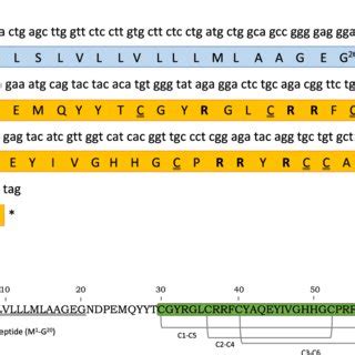 a cDNA 192 bp and deduced amino acid 63 aa sequences of β defensin