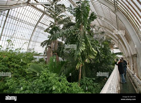 The Interior Palm House Kew Gardens In West London Hi Res Stock