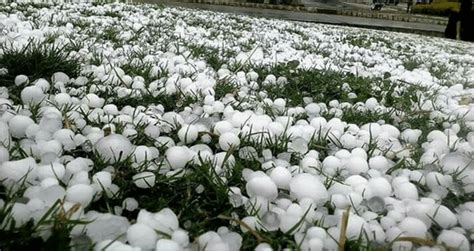 5 Largest Hailstones In The World