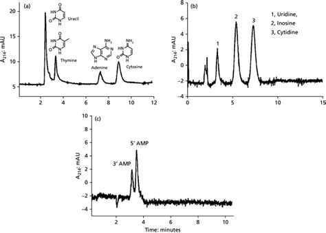 Electochromatographic Separations Of Polar Derivatives A Nucleic Acid Download Scientific