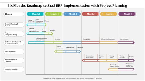 Top ERP Project Plan Templates With Examples And Samples, 54% OFF