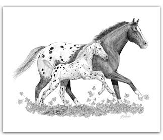 Glory of Fall : Buy Appaloosa Horses in Art : Appaloosa Paintings For Sale