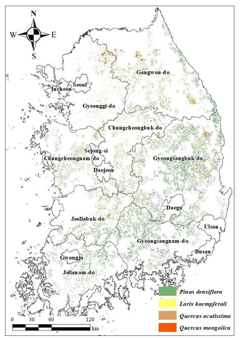 Spatial Distribution Of The Four Major Species In South Korea Pinus